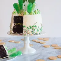 St. Patrick's Day Money Cake