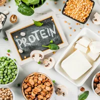 Plant Power! The Best Sources of Vegan Protein