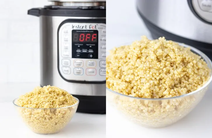 The Best Recipes To Try In An Instant Pot - Forkly