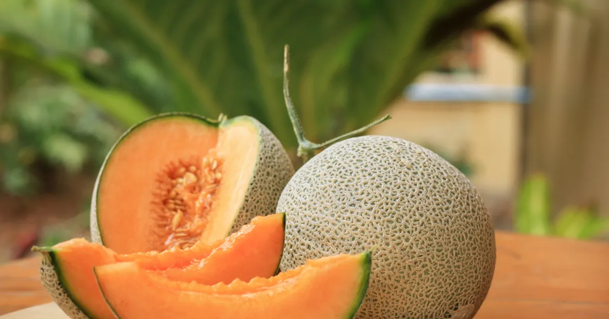How to pick a ripe cantaloupe perfectly